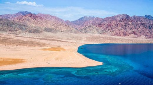 150 شركة محلية وعالمية تستعرض تصاميمها لدى "نيوم"