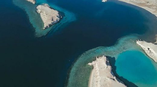 جمع أصول "أمالا" والبحر الأحمر بصندوق عقاري مدرج في تداول 2025