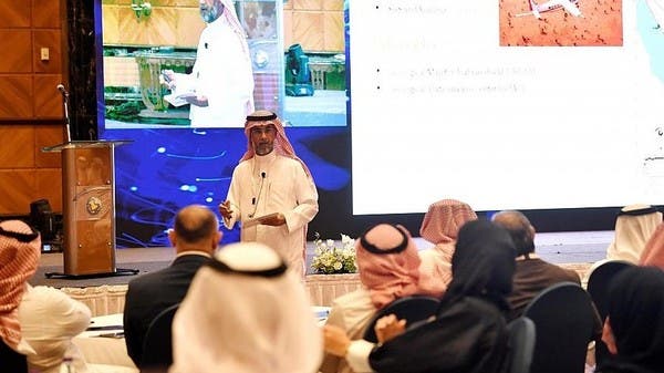 السعودية .. إطلاق قاعدة بيانات جيولوجية 