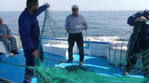 توطين 43٪ من مهنة الصيد في السعودية خلال عام 