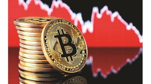 يمتلك 10000 مستثمر فقط ربع سوق البيتكوين! 