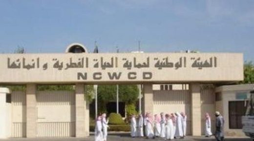 السعودية .. تمساح وغزال ونسر في ثلاجة لحم فاسد 