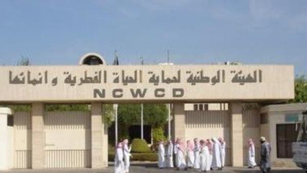 السعودية .. تمساح وغزال ونسر في ثلاجة لحم فاسد 