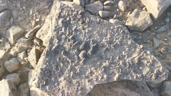 في نزهة .. سعودي يجد هذا الكنز الثمين في جازان! 