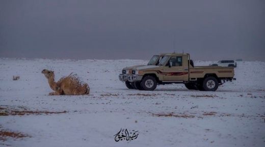 لقطات مؤثرة وثقها مصور سعودي في الشتاء .. وهذا ما قاله 