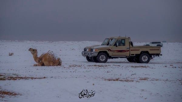 لقطات مؤثرة وثقها مصور سعودي في الشتاء .. وهذا ما قاله 