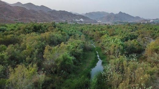 مناظر الشتاء الساحرة في هذا الوادي بالمملكة العربية السعودية 