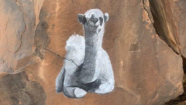 هكذا رسم فنان سعودي "الإبل" على جبل راف في سكاكا 
