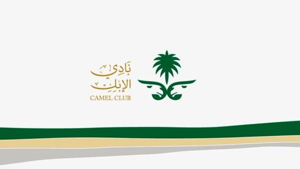 بالاتفاق مع رئاسة الحرس الملكي ، يستعد نادي الإبل لتنظيم الهجن الملكية 