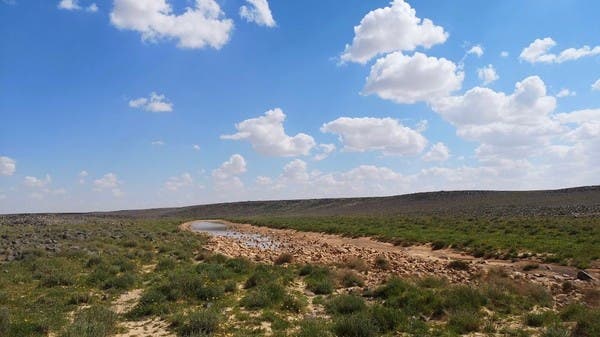 هكذا يمكنك زيارة المناطق المغلقة في محمية الملك سلمان الطبيعية 