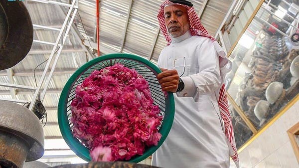 يعطّر المبق سماء الطائف بالورود الطائفية 