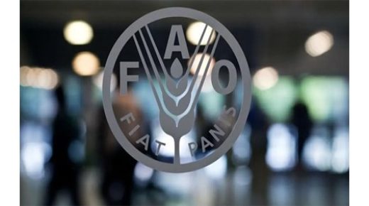 أسعار الغذاء العالمية تقفز إلى مستوى قياسي 
