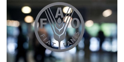 أسعار الغذاء العالمية تقفز إلى مستوى قياسي 