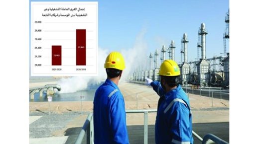تمويت 4 آلاف فرصة عمل في عقود مقاولات النفط 