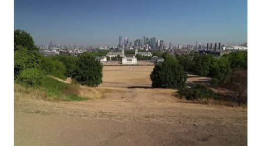 تبيع المتاجر البريطانية فواكه شبه فاسدة بسبب 