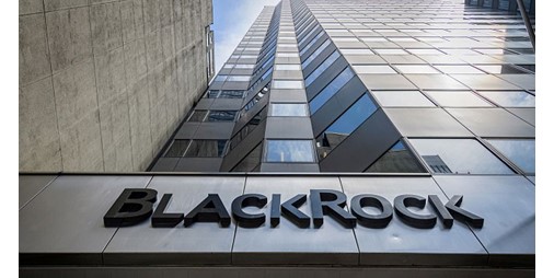 BlackRock كيف وصل عملاق إدارة الأصول إلى الحد الأقصى 