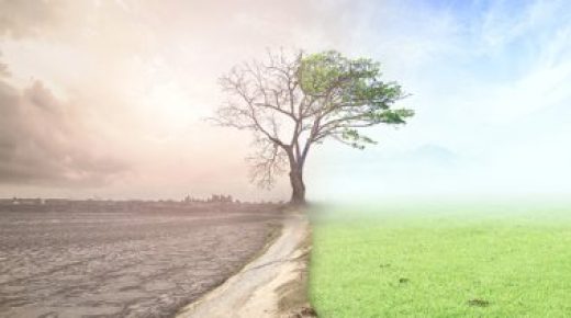 وكالة حماية البيئة الأمريكية تفتتح مكتبًا جديدًا مخصصًا للعدالة البيئية والحقوق المدنية 
