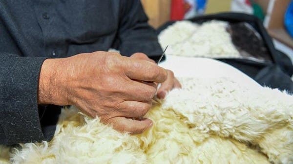 تبلغ قيمتها 10 آلاف ريال.. تعرف على ” الفروة” قاهرة الشتاء
