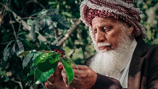  100 مزارع يشاركون في مهرجان البُن السعودي بجازان