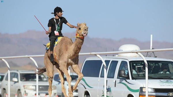 انطلاق منافسات كأس العلا للهجن تحت رعاية ولي العهد السعودي