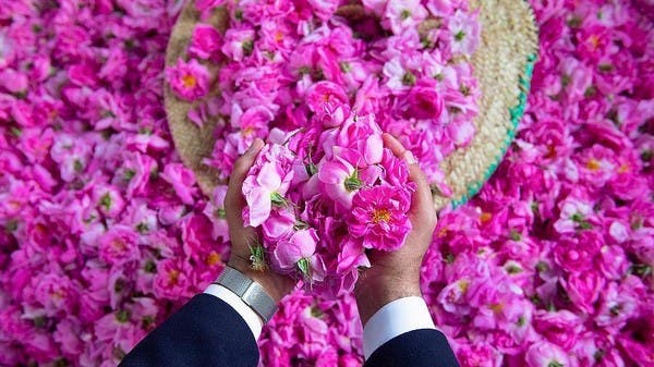 64 مليون ريال حجم استثمارات الورد الطائفي