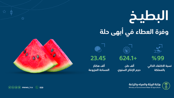 السعودية تحقق الاكتفاء الذاتي في محصول البطيخ
