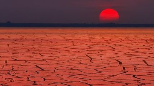 دراسة تكشف أن موجات الحرارة البحرية فى قاع المحيط تعطل النظم البيئية