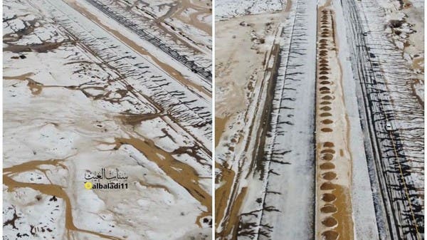 “عيد ومطر وورد”.. مشاهد خلابة من الطائف