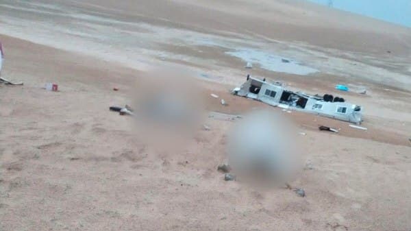 مشهد لا يصدق.. صاعقة رعدية تتسبب بنفوق عدد من الإبل