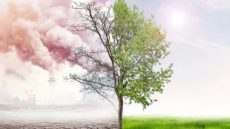 دراسة تكشف كيف لعب تغير المناخ دورا فى جعل حرارة شهر يوليو قياسية؟