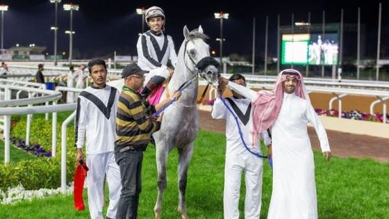 نخبة الجياد والأفراس تتنافس على التأهل لكأس الملك فيصل وكأس الأمير عبد الله الفيصل