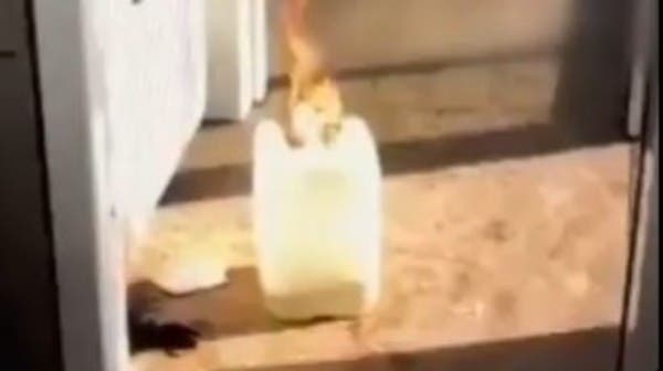 القبض على شخص أحرق موقعًا مخصصًا لانتظار الحافلات