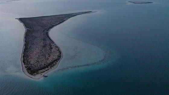 صور ساحرة لجزيرة سعودية.. أصبحت أيقونة للسياحة