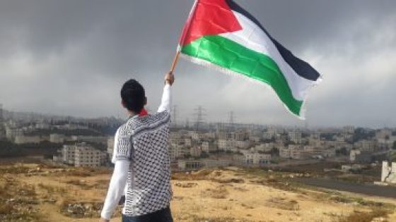 ملايين الرسائل لإيلون ماسك.. السوشيال ميديا تطالب بإنترنت ستارلينك لغزة