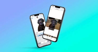 كيفية إزالة الخلفية من أى صورة على نظام iOS.. اعرف الخطوات