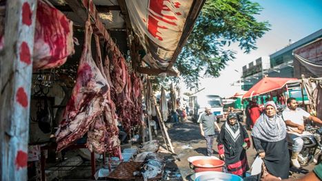 أقل زيادة سكانية في مصر منذ 50 عاما.. 2 مليون مولود …