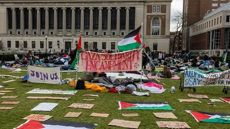 “عن النكبة الفلسطينية”.. جامعة كولومبيا أغلقت موقع مجلة …