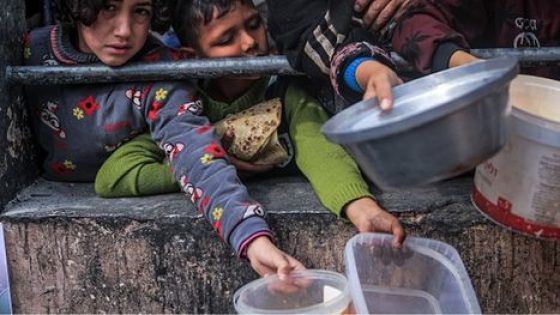 لماذا لم يتم إعلان المجاعة رسميا في شمال غزة وما هي …
