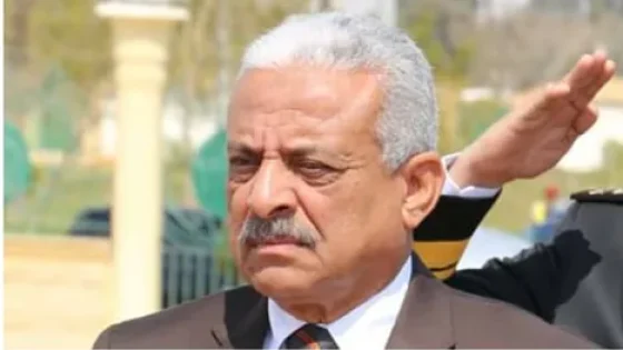 لماذا استدعى السيسي وزيرا للدفاع من خارج الخدمة؟.. …