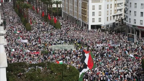 مظاهرات حاشدة في صنعاء ومدن مغربية دعما لغزة ورفضا …